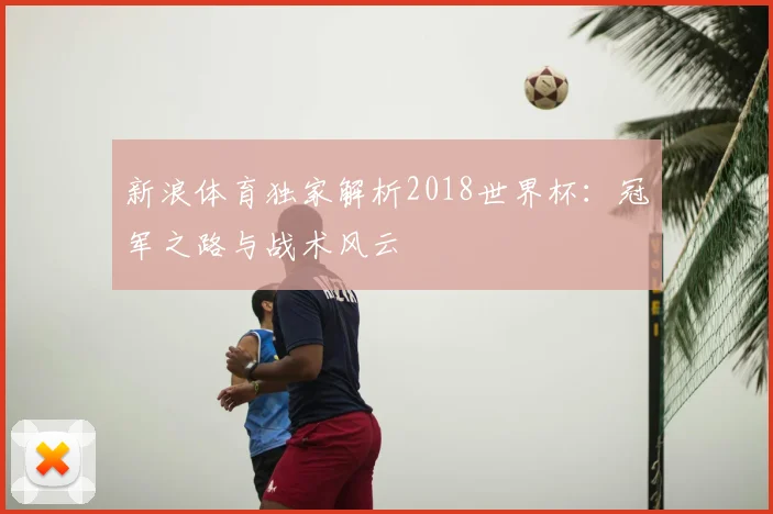 新浪体育独家解析2018世界杯：冠军之路与战术风云