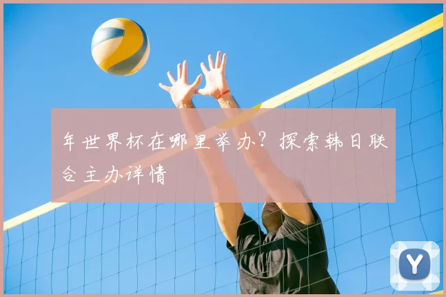 年世界杯在哪里举办?探索韩日联合主办详情