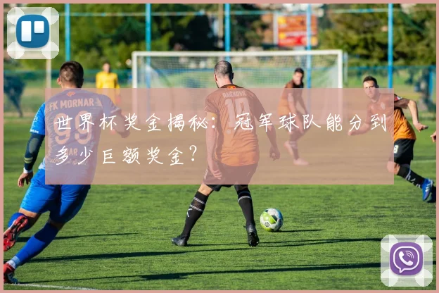 世界杯奖金揭秘:冠军球队能分到多少巨额奖金?