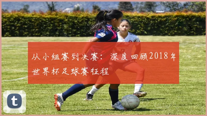 从小组赛到决赛：深度回顾2018年世界杯足球赛征程