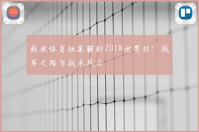 新浪体育独家解析2018世界杯：冠军之路与战术风云