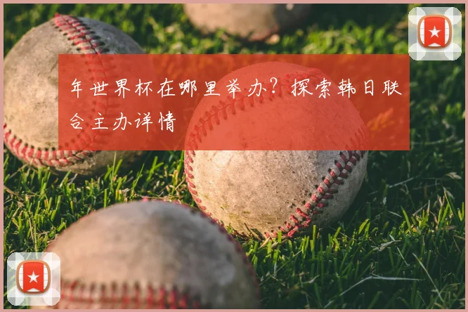 年世界杯在哪里举办？探索韩日联合主办详情